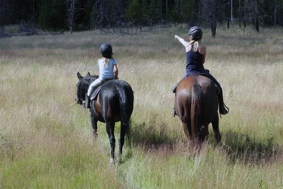 Watch for wildlife during your Siwash Lake horse riding holiday
