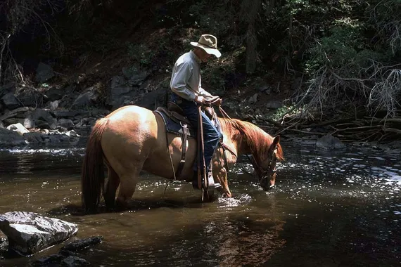 Cooling off on a Siwash Lake horseback riding adventure with a cold drink from the river