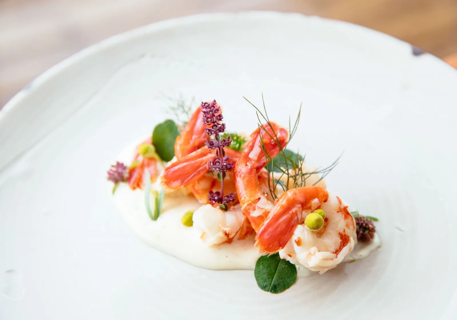 Sustainably harvested nourishing food for wellness