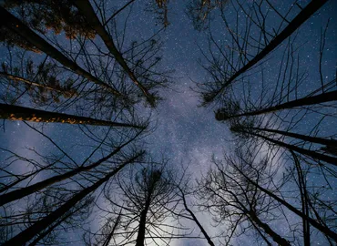 Star Gazing Adventure