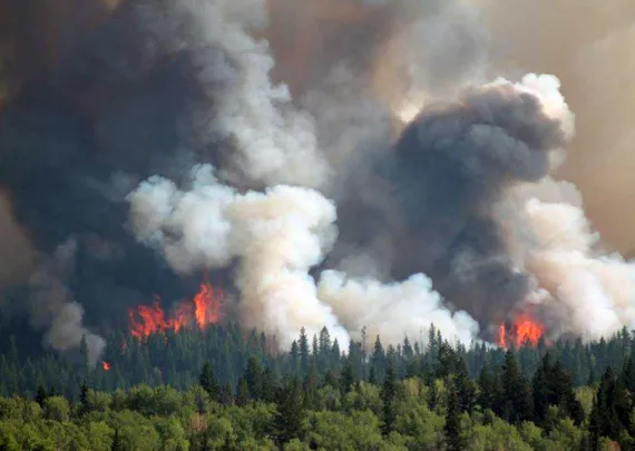 2017 Wildfire in the forest near Siwash Lake
