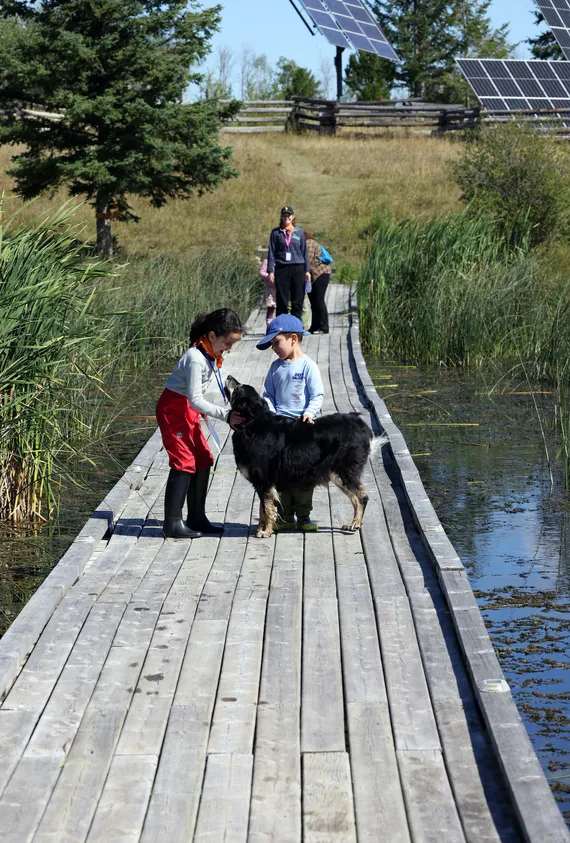 Kids playing in the boardwalk