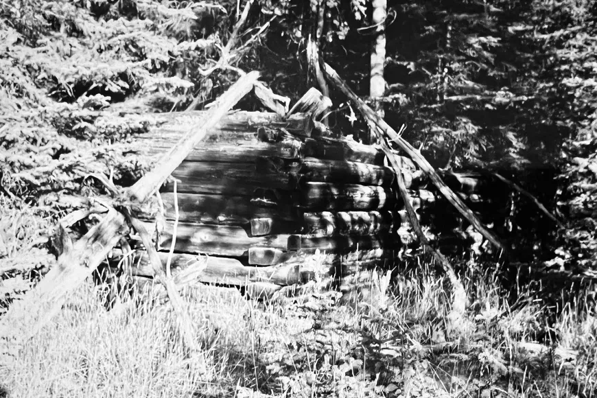 The settler's cabin at Siwash Lake