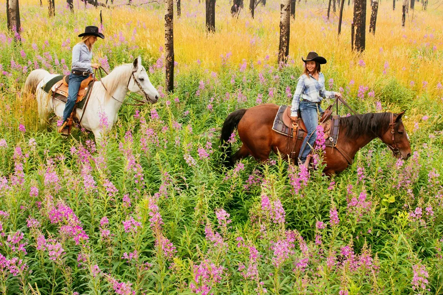 Fireweed flowers brush riders' stirrups while horse riding at Siwash Lake
