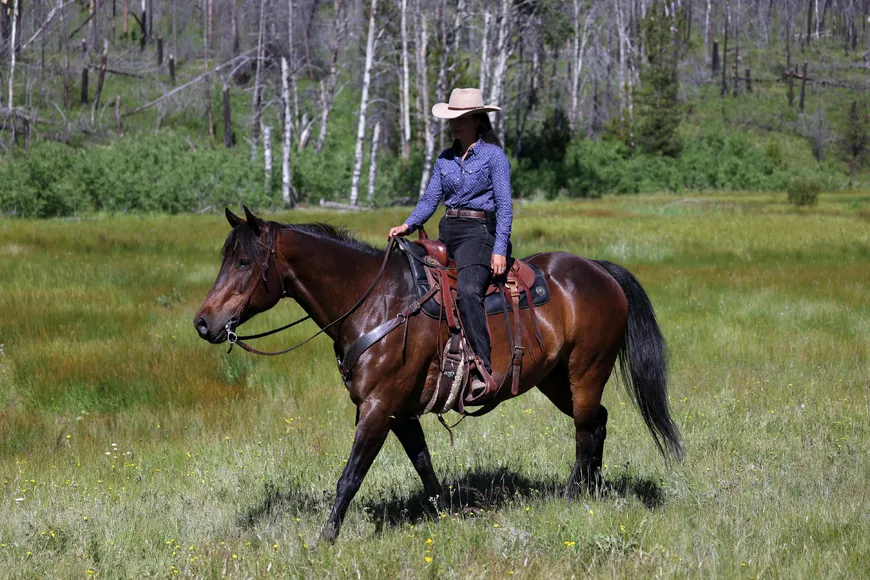More land to roam: 10,000 acres of wild beauty and untamed wilderness at Siwash Lake