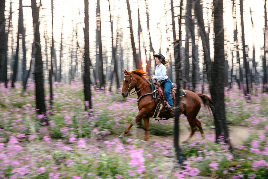 Ride freely through the beauty of a regenerating wilderness