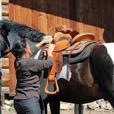 Learn natural western horsemanship at Siwash Lake Ranch