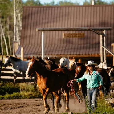 We have our own herd of horses at our luxury ranch