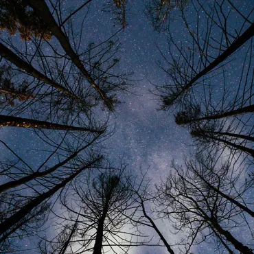star gazing at Siwash lake
