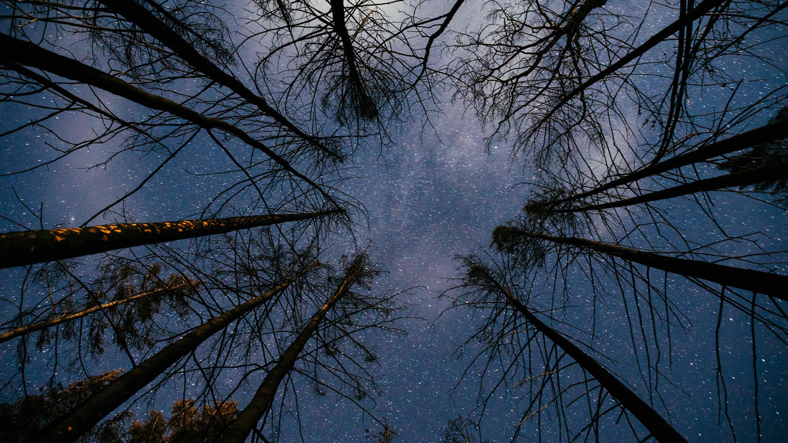 World-class Star Gazing at Siwash StarCamp